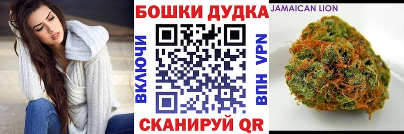 Где купить Вологда Галлюциногенные грибы  NBOMe  Каннабис  Меф мяу мяу  COCAIN  A-PVP 