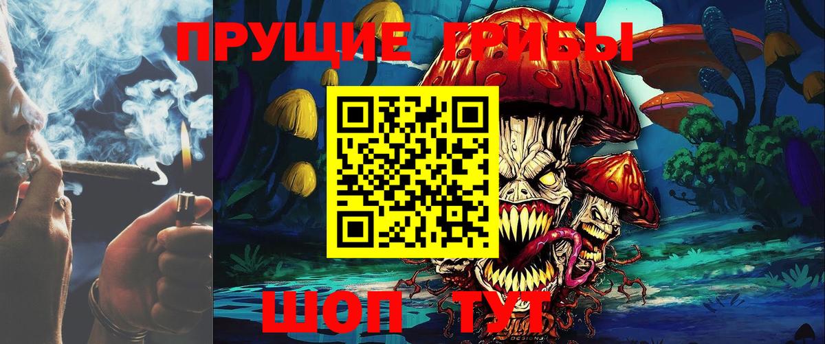 хочу   Вологда  Псилоцибиновые грибы мухоморы 