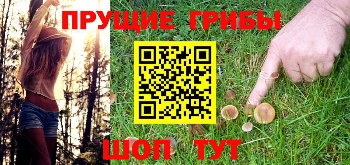 Вологда  Псилоцибиновые грибы MAGIC MUSHROOMS  Псилоцибиновые грибы MAGIC MUSHROOMS  Вход с VPN 