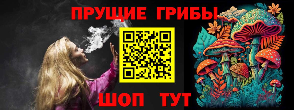 Псилоцибиновые грибы Psilocybe Вологда